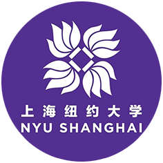 上海纽约大学(综合评价)
